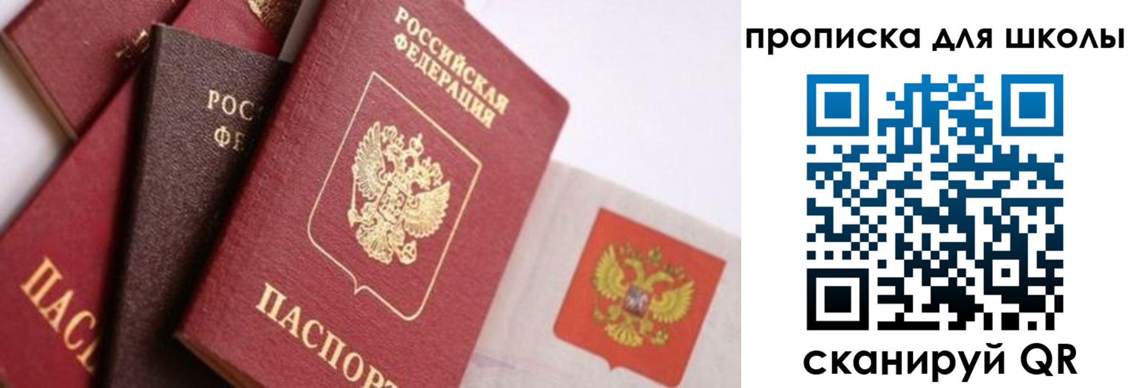 прописка поиск в Краснознаменске